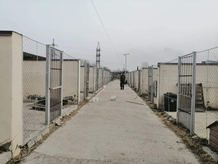 Для розміщення безпритульних тварин, покинутих під час війни, потрібно збудувати нові вольєри