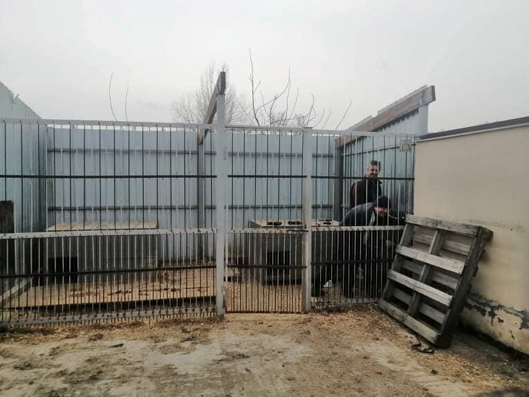 Волонтери допомогли відремонтувати частину пошкоджених вольєрів