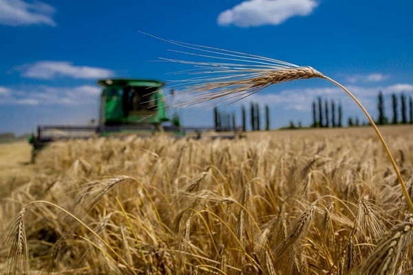 В області триває збір урожаю та посівна озимих культур