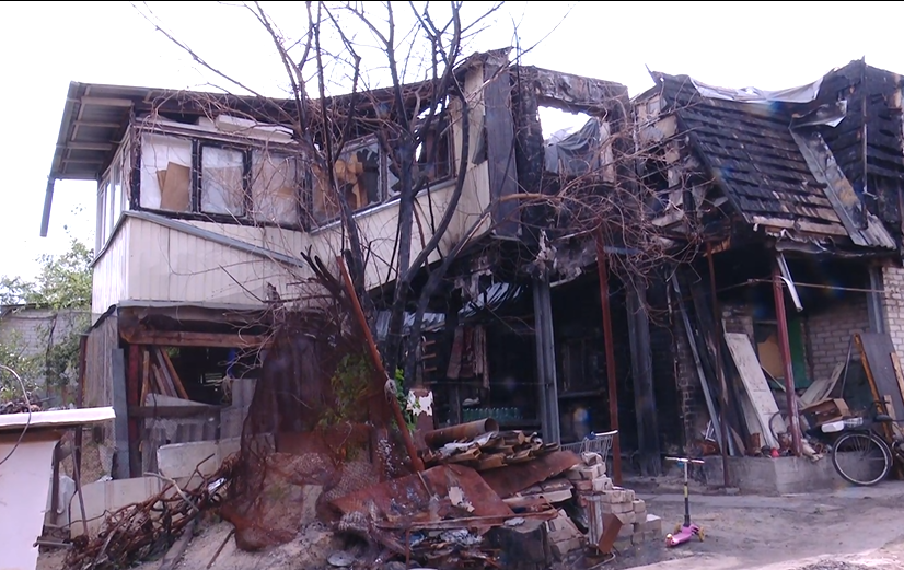 Дерево шовковиці оживає, будемо жити і ми