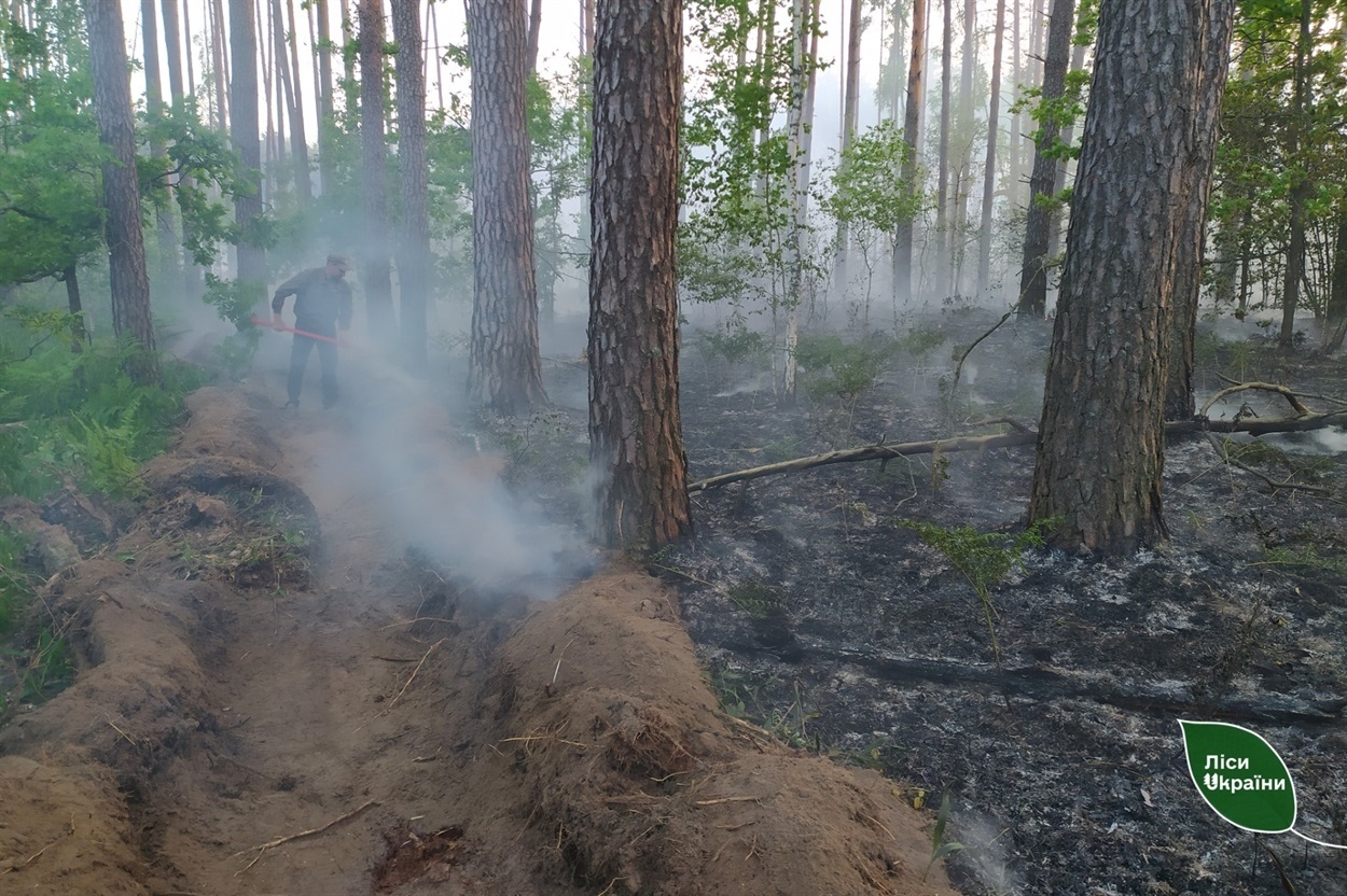 На Чернігівщині через обстріли не можуть загасити ліс, 21.05.2023